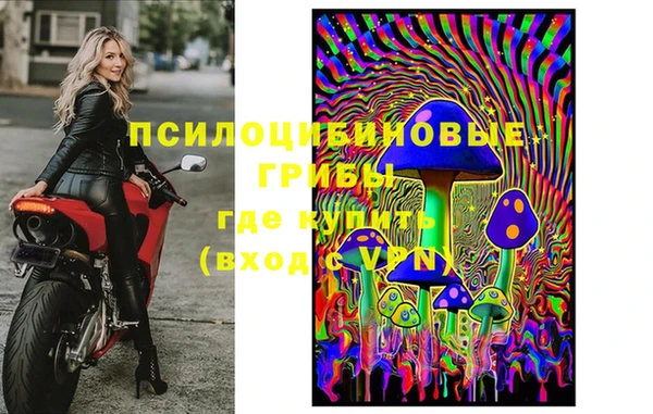 apvp Балахна
