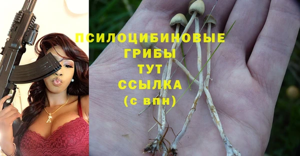 spice Балабаново