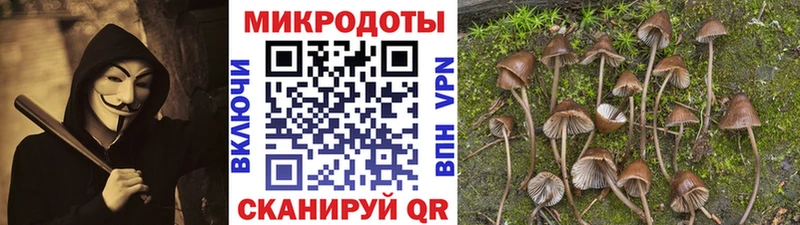 Псилоцибиновые грибы Magic Shrooms  Шахунья 