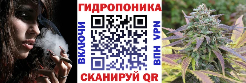 MEGA tor  Шахунья  Конопля план 